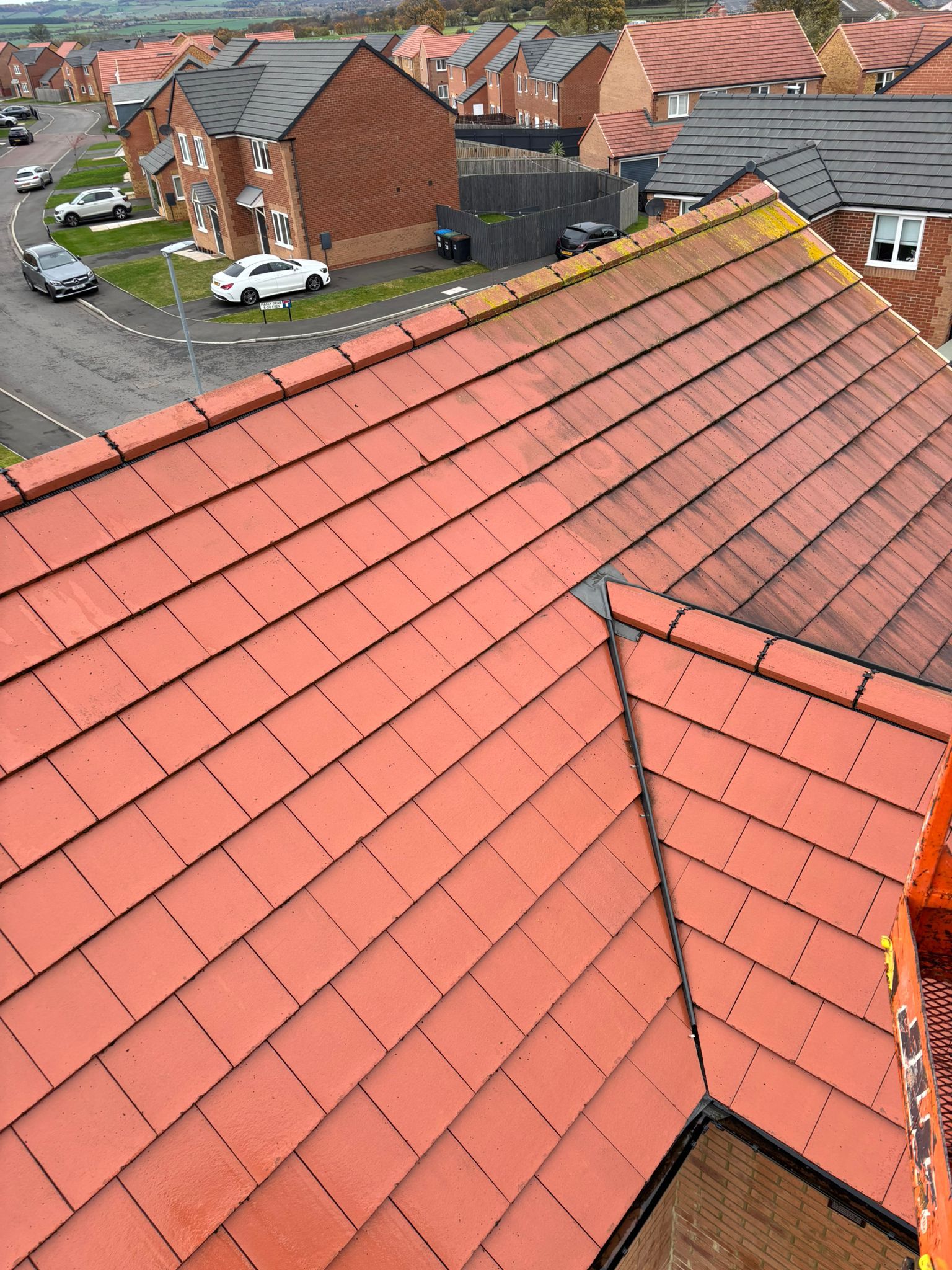 Roof Cleaning Project 1